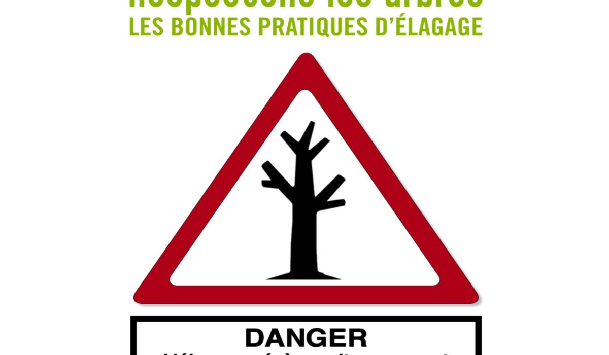 taille-douce